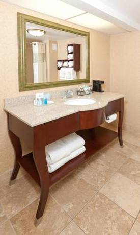 Imagen de la habitación del Hotel Hampton Inn Ellenton/bradenton. Foto 11