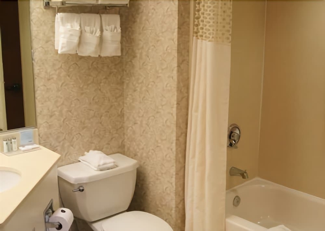 Imagen de la habitación del Hotel Hampton Inn Flemington. Foto 7