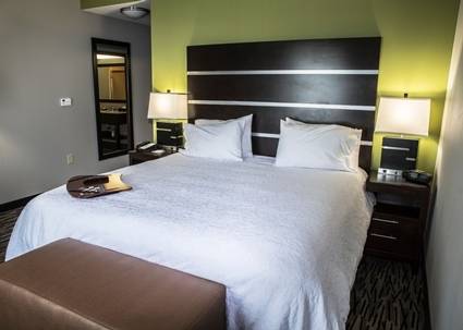 Imagen de la habitación del Hotel Hampton Inn Foley. Foto 9