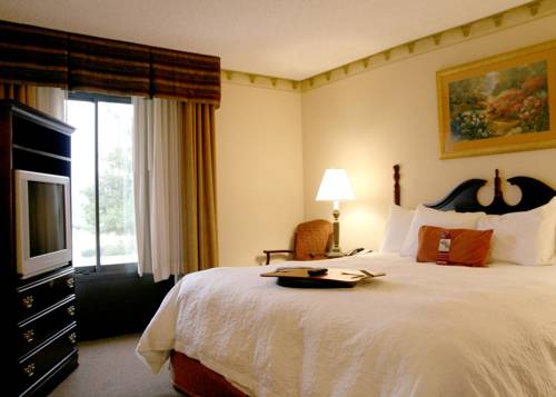 Imagen de la habitación del Hotel Hampton Inn Fort Smith. Foto 8