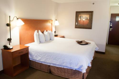 Imagen de la habitación del Hotel Hampton Inn Fort Smith. Foto 9