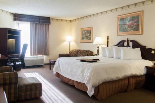 Imagen de la habitación del Hotel Hampton Inn Fort Smith. Foto 10