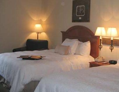 Imagen general del Hotel Hampton Inn Gadsden. Foto 4