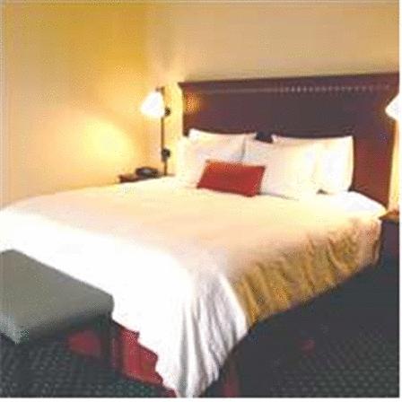 Imagen general del Hotel Hampton Inn Gadsden/attalla I-59. Foto 7