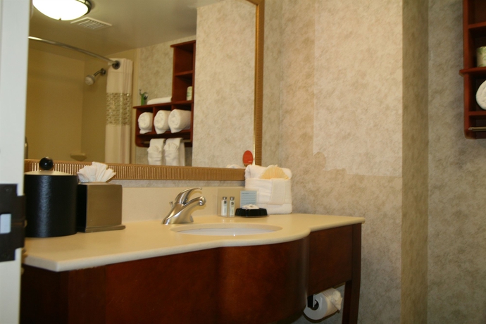 Imagen de la habitación del Hotel Hampton Inn Gainesville. Foto 7