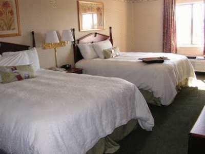 Imagen general del Hotel Hampton Inn Gaylord. Foto 3