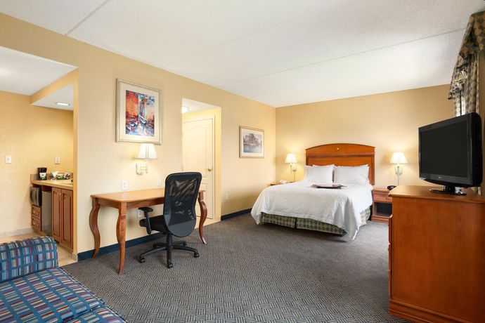 Imagen de la habitación del Hotel Hampton Inn Geneva. Foto 4