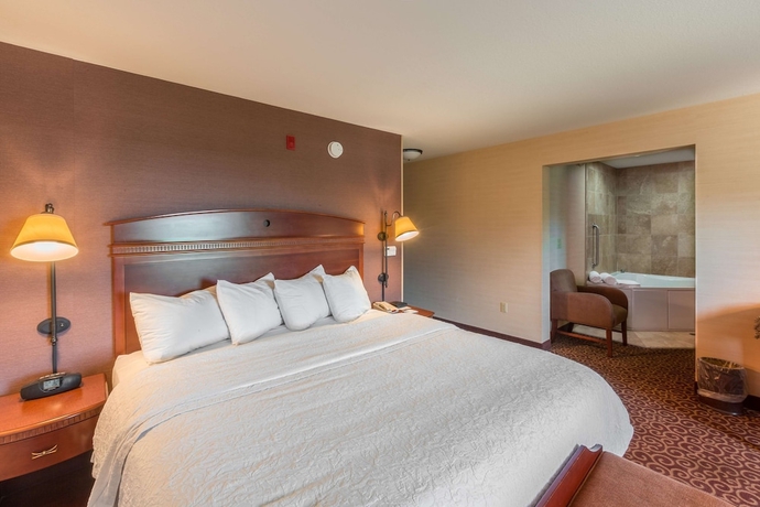 Imagen de la habitación del Hotel Hampton Inn Goshen. Foto 16