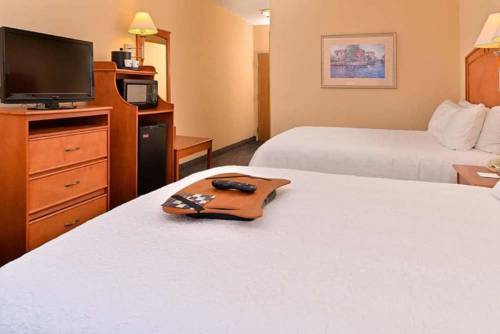 Imagen de la habitación del Hotel Hampton Inn Grand Island. Foto 3