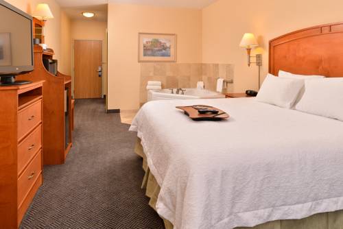 Imagen de la habitación del Hotel Hampton Inn Grand Island. Foto 6