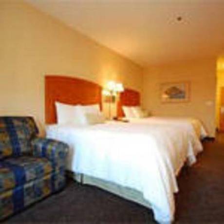 Imagen de la habitación del Hotel Hampton Inn Grand Island. Foto 10