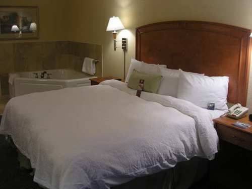 Imagen de la habitación del Hotel Hampton Inn Grand Island. Foto 14