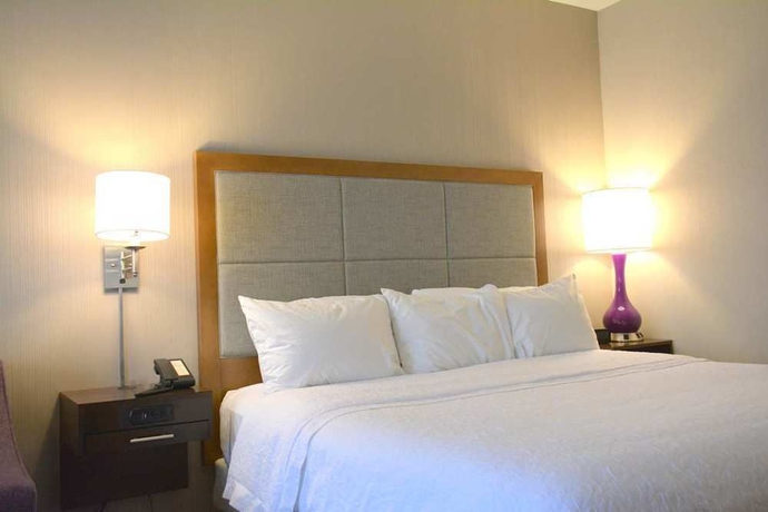 Imagen de la habitación del Hotel Hampton Inn Grand Junction Downtown/historic Main Street. Foto 5