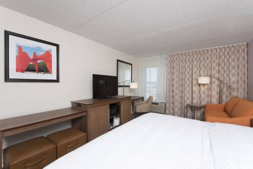 Imagen de la habitación del Hotel Hampton Inn Grand Rapids-south. Foto 5