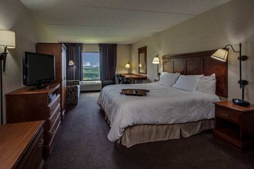 Imagen de la habitación del Hotel Hampton Inn Hazleton. Foto 2