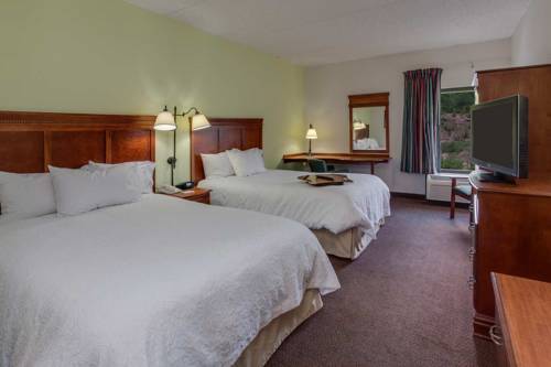 Imagen de la habitación del Hotel Hampton Inn Hazleton. Foto 9