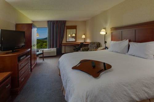 Imagen de la habitación del Hotel Hampton Inn Hazleton. Foto 10
