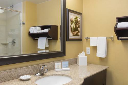 Imagen de la habitación del Hotel Hampton Inn Holland. Foto 3