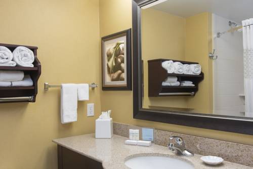 Imagen de la habitación del Hotel Hampton Inn Holland. Foto 15