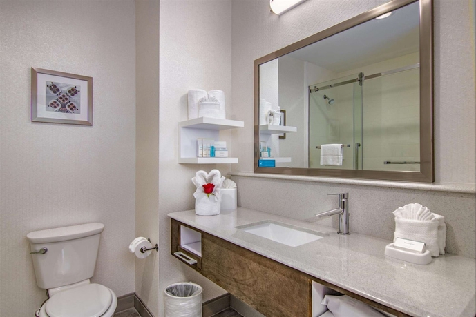 Imagen de la habitación del Hotel Hampton Inn Houston Nasa-johnson Space Center. Foto 10