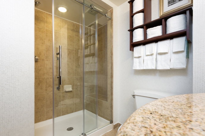 Imagen de la habitación del Hotel Hampton Inn Houston-near The Galleria. Foto 10