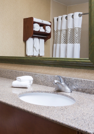 Imagen de la habitación del Hotel Hampton Inn Houston/stafford. Foto 8