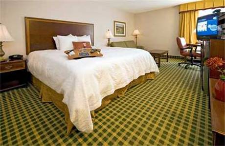 Imagen de la habitación del Hotel Hampton Inn I-40 Hanes Mall. Foto 4