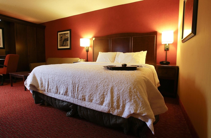 Imagen de la habitación del Hotel Hampton Inn I-75 Lexington/hamburg Area. Foto 7