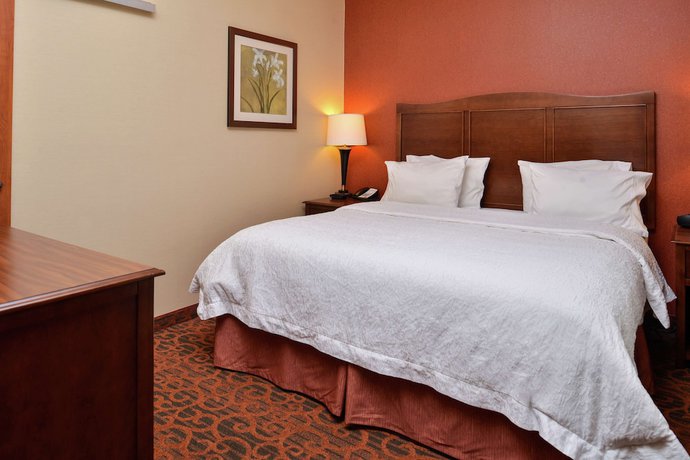 Imagen de la habitación del Hotel Hampton Inn Idaho Falls/airport. Foto 5