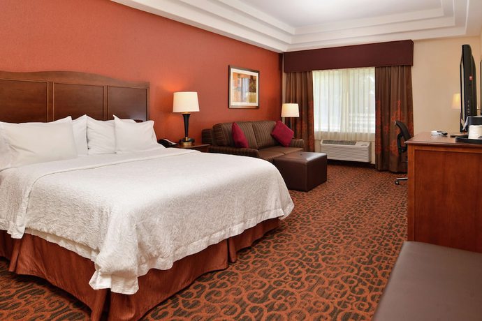 Imagen de la habitación del Hotel Hampton Inn Idaho Falls/airport. Foto 10