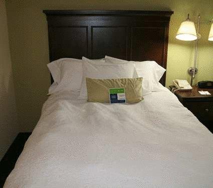Imagen general del Hotel Hampton Inn Indianapolis-n.e./castleton. Foto 3