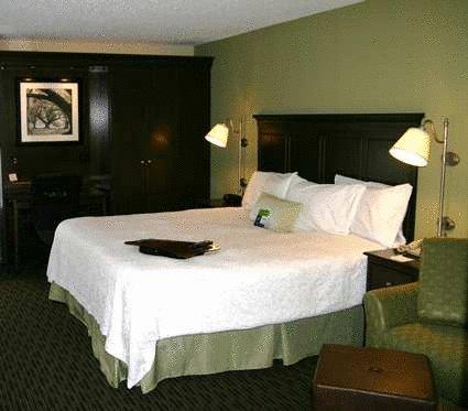 Imagen general del Hotel Hampton Inn Indianapolis-n.e./castleton. Foto 4