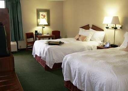 Imagen general del Hotel Hampton Inn Indianapolis-n.e./castleton. Foto 6