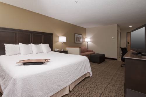 Imagen de la habitación del Hotel Hampton Inn Jackson, Jackson. Foto 3
