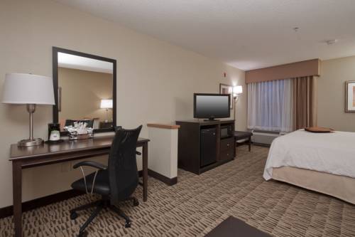 Imagen de la habitación del Hotel Hampton Inn Jackson, Jackson. Foto 6