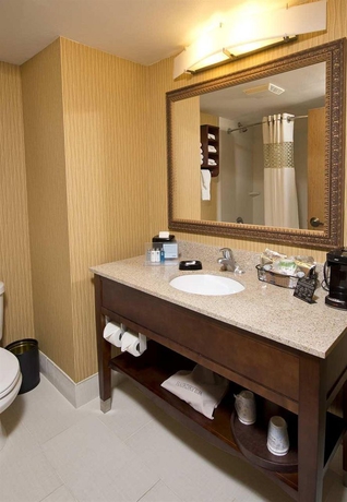 Imagen de la habitación del Hotel Hampton Inn Jacksonville-downtown-i-95. Foto 9