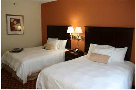 Imagen de la habitación del Hotel Hampton Inn Kingsland. Foto 3