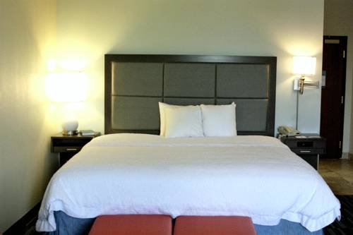 Imagen de la habitación del Hotel Hampton Inn Kingsville. Foto 6