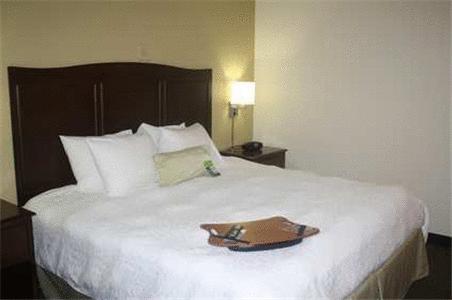 Imagen general del Hotel Hampton Inn Knoxville - Airport. Foto 6