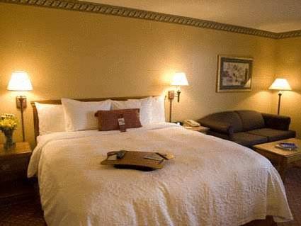 Imagen de la habitación del Hotel Hampton Inn Lafayette. Foto 2