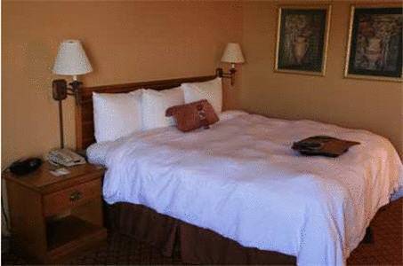 Imagen de la habitación del Hotel Hampton Inn Lafayette. Foto 3