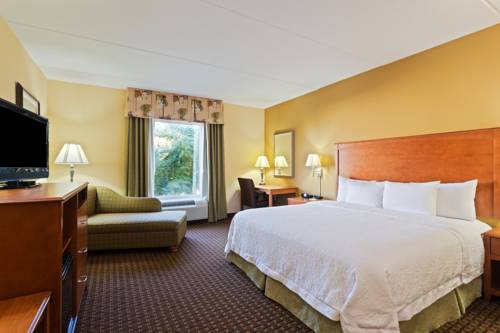 Imagen de la habitación del Hotel Hampton Inn Leesburg/tavares. Foto 4