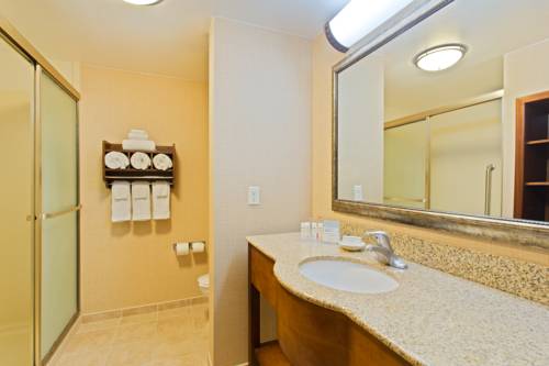 Imagen de la habitación del Hotel Hampton Inn Leesburg/tavares. Foto 7