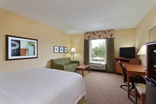 Imagen de la habitación del Hotel Hampton Inn Leesburg/tavares. Foto 13