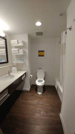 Imagen de la habitación del Hotel Hampton Inn Lexington Medical Center. Foto 3