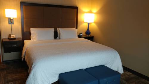 Imagen de la habitación del Hotel Hampton Inn Lexington Medical Center. Foto 6