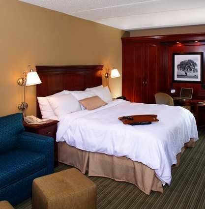 Imagen de la habitación del Hotel Hampton Inn Long Island/islandia. Foto 5