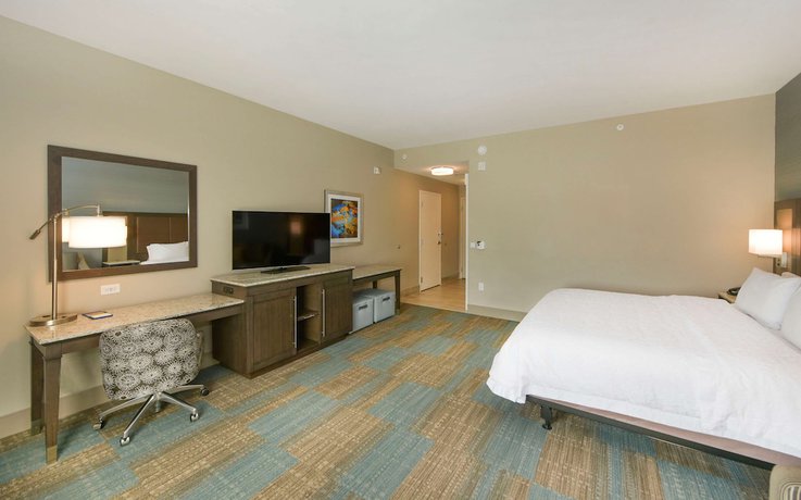 Imagen de la habitación del Hotel Hampton Inn Lumberton. Foto 10