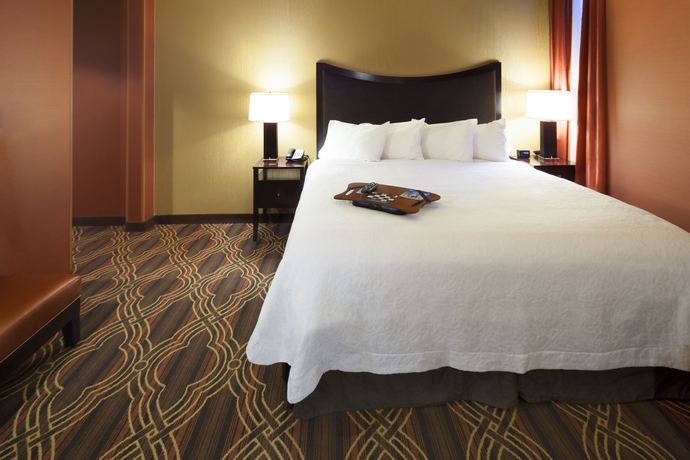 Imagen de la habitación del Hotel Hampton Inn Majestic Chicago Theatre District. Foto 10