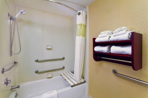 Imagen general del Hotel Hampton Inn Manheim. Foto 1